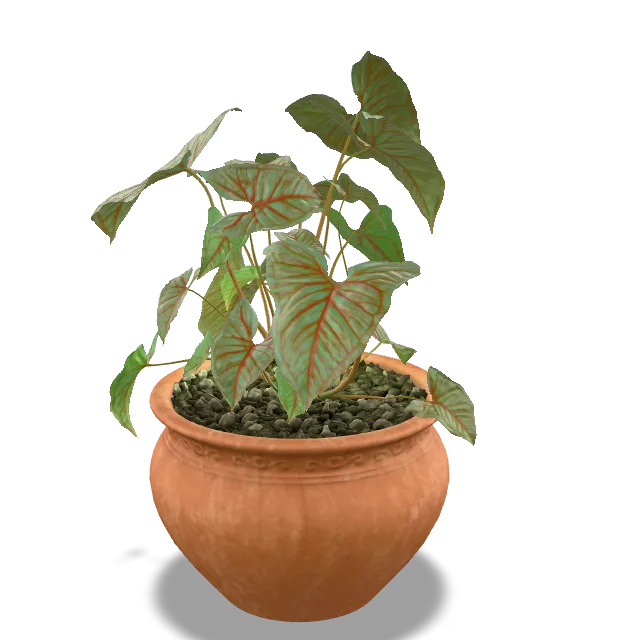 Plante & Pot en Terre